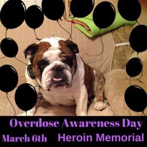 Meet your Posher, Babs